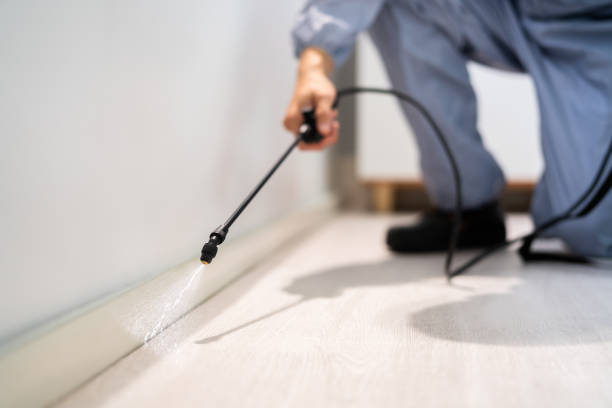 Bed Bug Pre-Treatment Preparation Assessment in Santa Anna