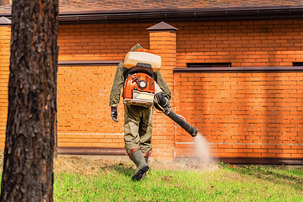 Bed Bug Clearance Verification and Documentation in Santa Anna